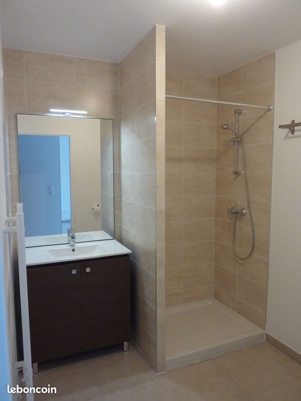 Appartement à louer, 26m², Villeurbanne