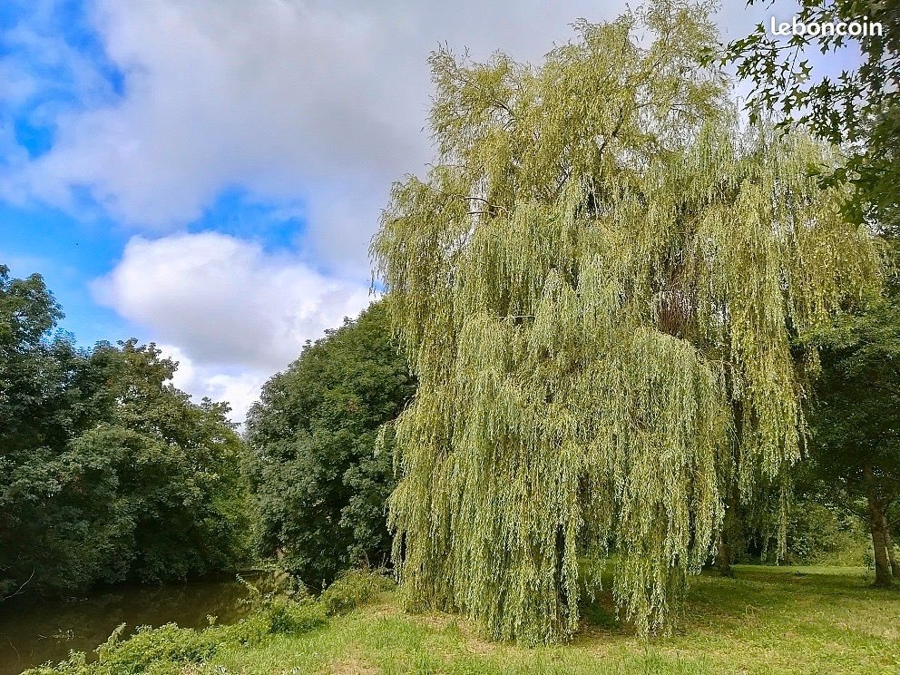 Maison à vendre, 500m², Pontoise