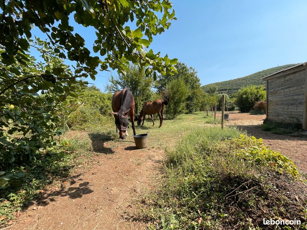 Maison à vendre, 70m², Cendras