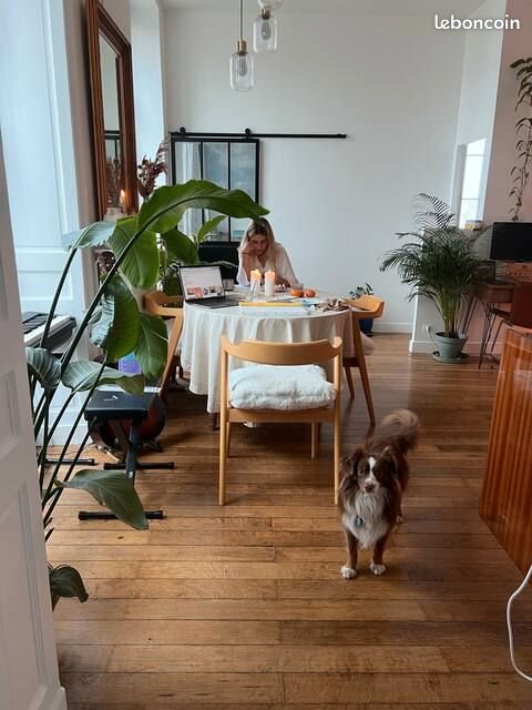 Appartement à louer, 60m², Bordeaux
