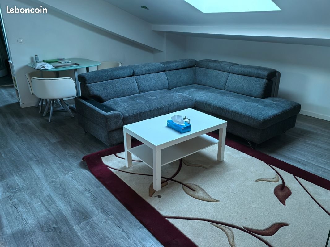 Appartement à louer, 40m², Saint-Étienne