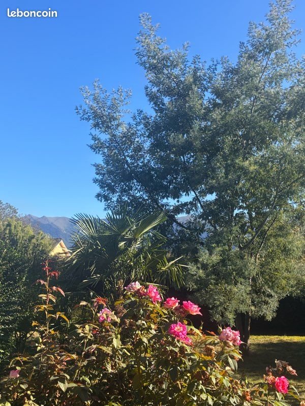 Maison à vendre, 100m², Gurmençon