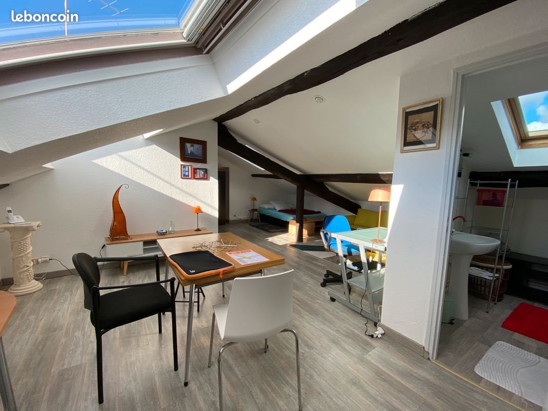 Appartement à louer, 38m², Nancy