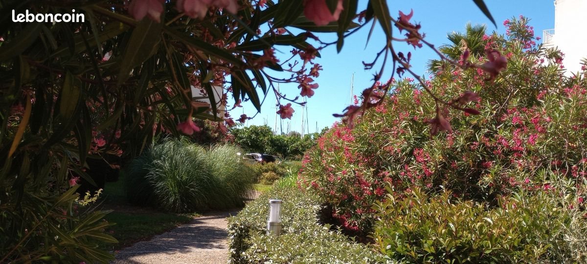 Appartement à vendre, 25m², Agde (Cap d'Agde)