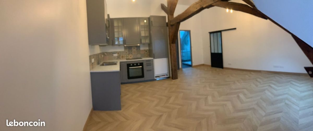 Appartement à louer, 53m², Olivet