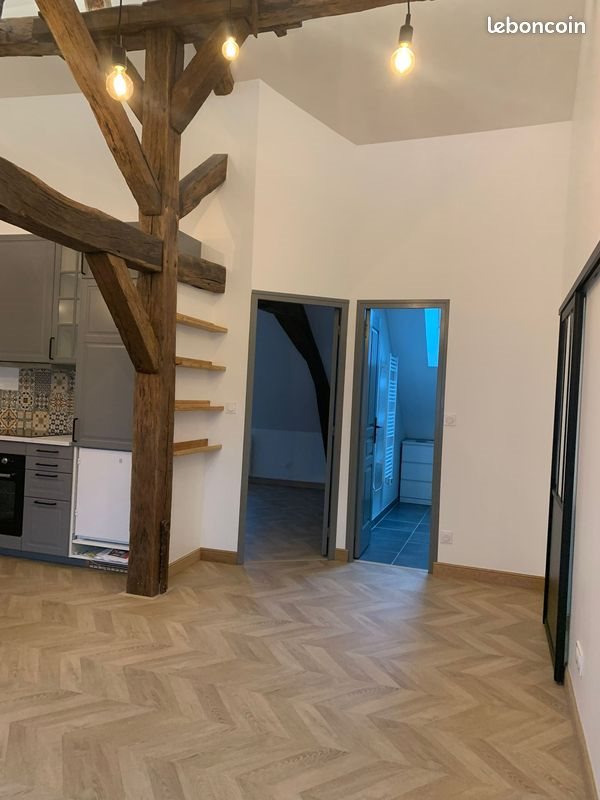 Appartement à louer, 53m², Olivet