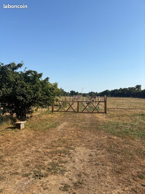 Maison à louer, 40m², Colpo