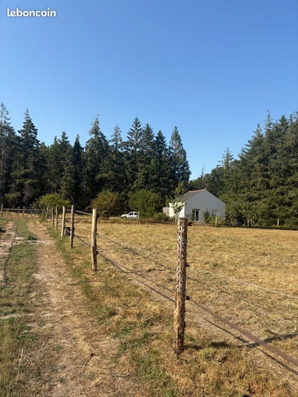 Maison à louer, 40m², Colpo