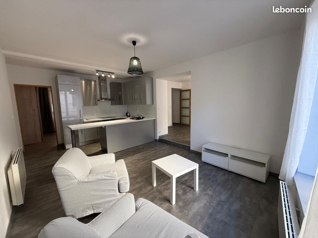 Appartement à louer, 59m², Nancy