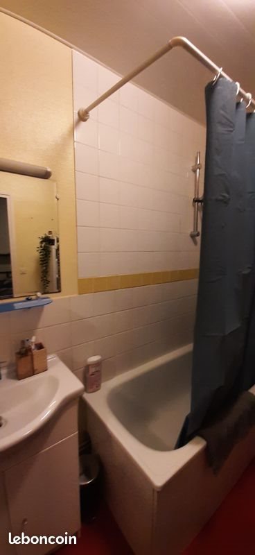 Appartement à louer, 50m², Lille
