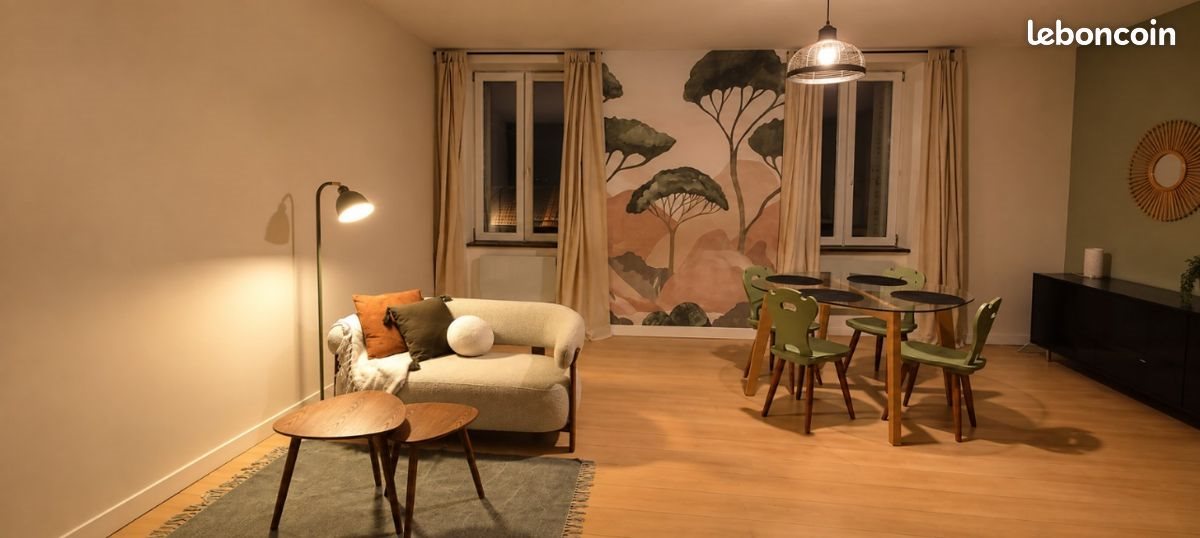 Appartement à louer, 49m², Limoges