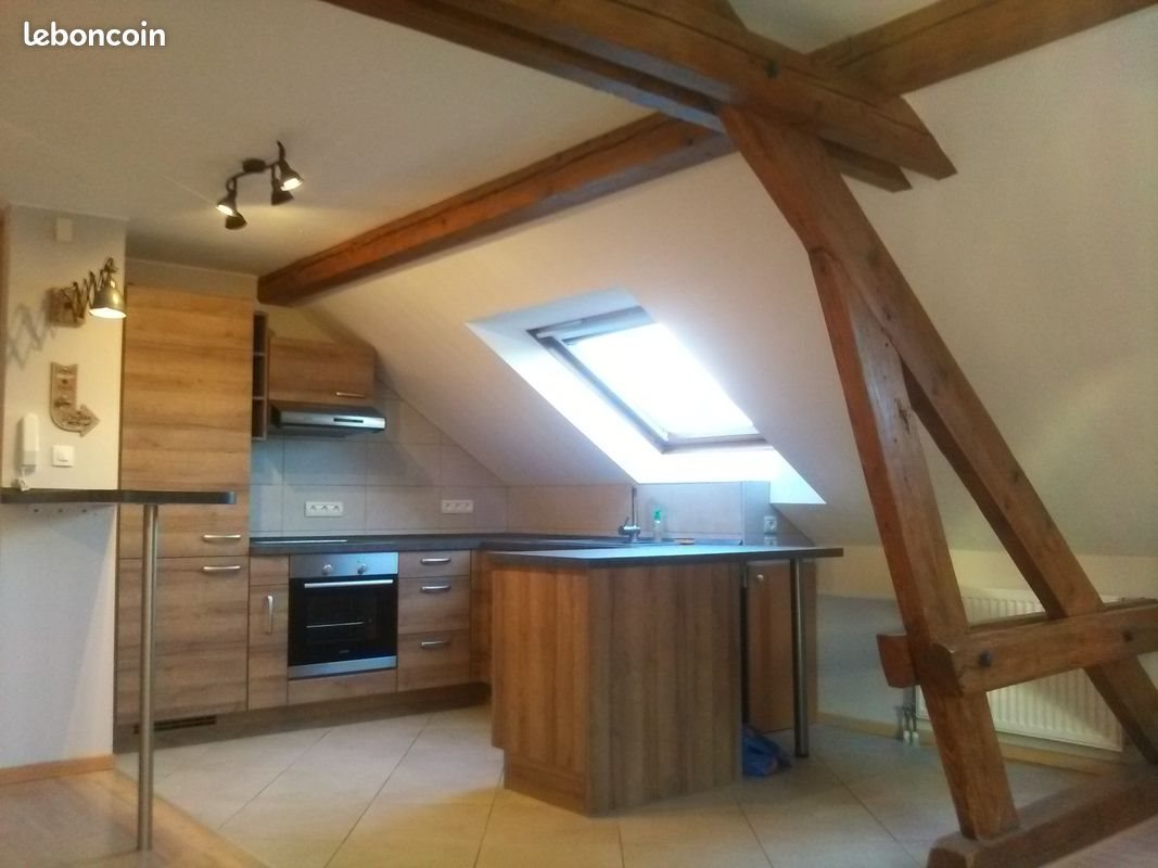 Appartement à louer, 48m², Sarralbe