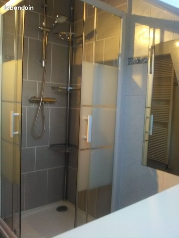 Appartement à louer, 48m², Sarralbe