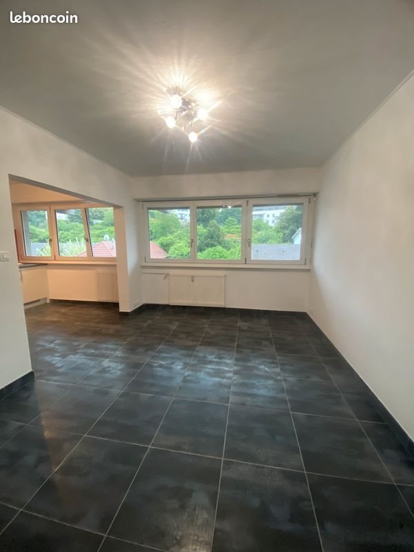 Appartement à louer, 32m², Altkirch