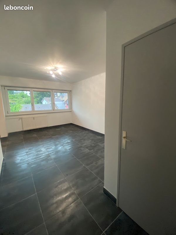 Appartement à louer, 32m², Altkirch