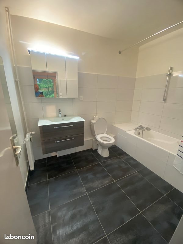 Appartement à louer, 32m², Altkirch
