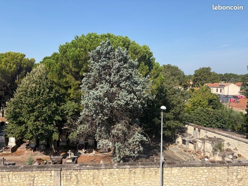 Appartement à louer, 22m², Avignon