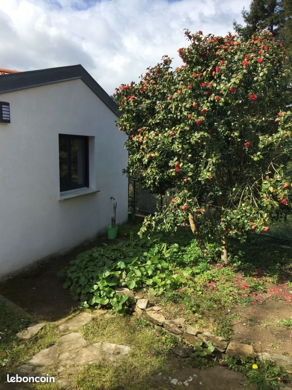 Appartement à louer, 35m², Nantes
