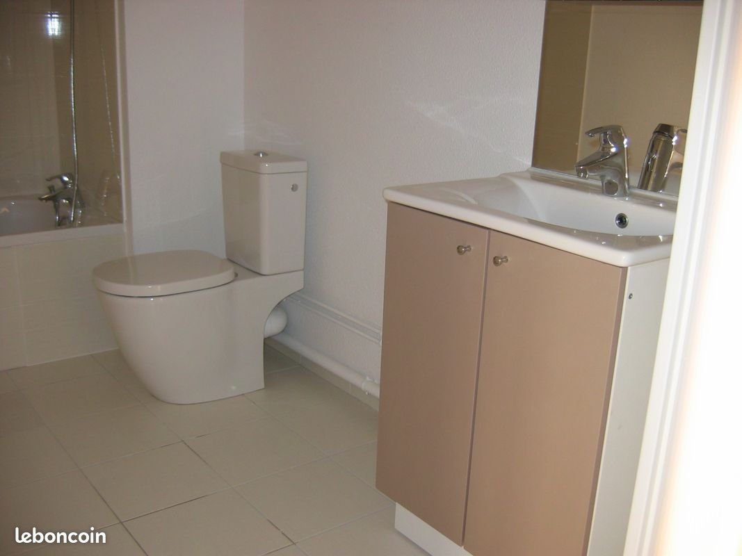 Appartement à louer, 43m², Sainte-Savine