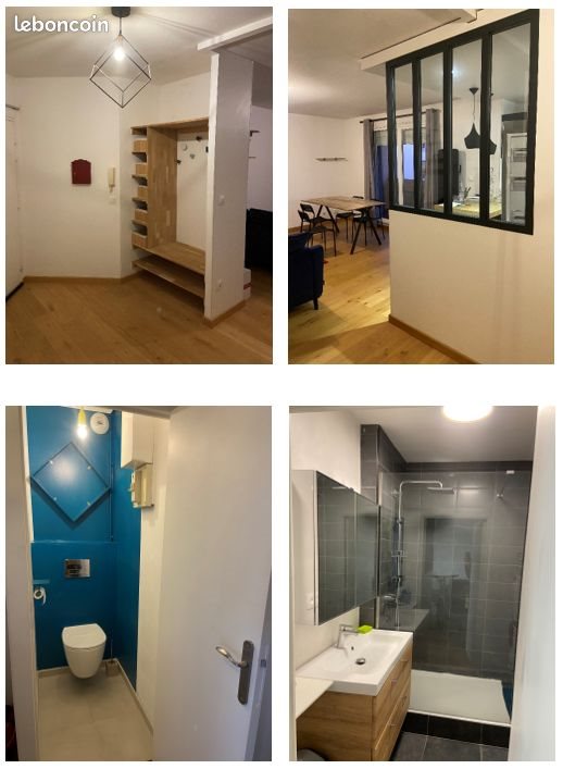 Appartement à louer, 50m², Villeurbanne