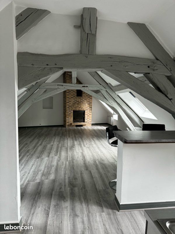Appartement à louer, 45m², Bourges