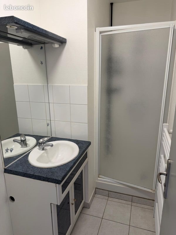 Appartement à louer, 30m², Sainte-Savine