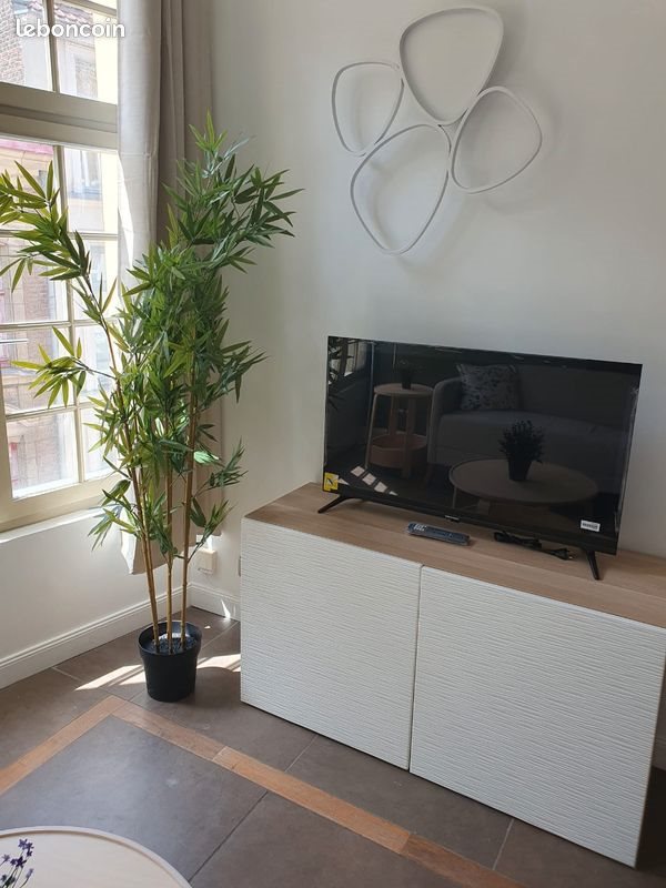 Appartement à louer, 39m², Lille