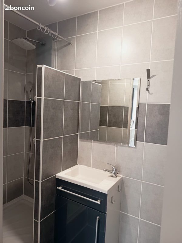 Appartement à louer, 33m², Saint-Étienne
