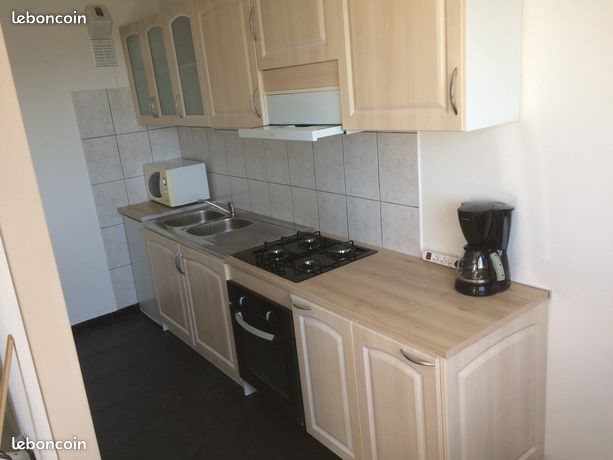 Appartement à louer, 33m², Saint-Etienne