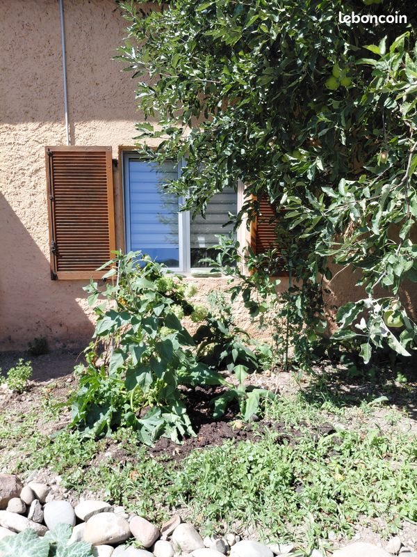 Appartement à louer, 23m², Turckheim