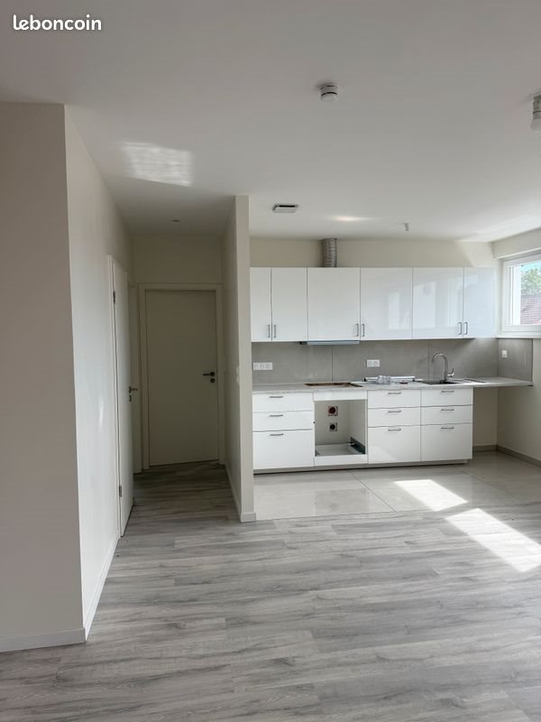 Appartement à louer, 57m², Wolfisheim