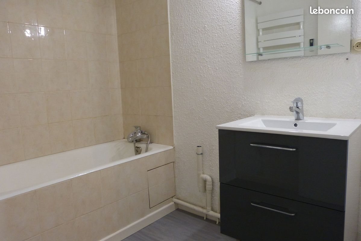 Appartement à louer, 50m², Albi