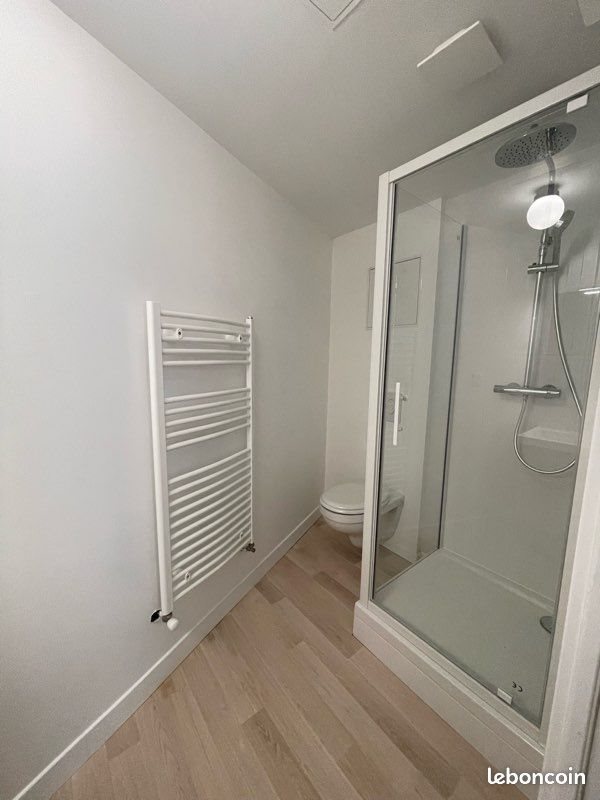 Appartement à louer, 23m², Nancy