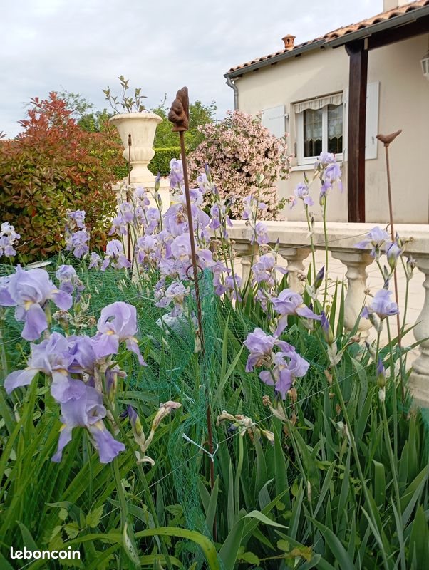 Maison à vendre, 97m², Aulnay