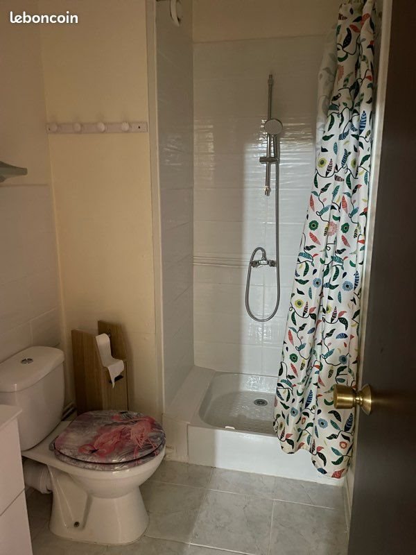 Appartement à louer, 25m², Nancy
