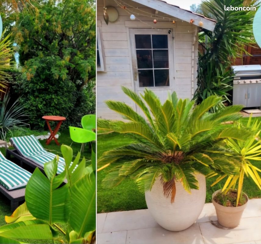 Appartement à louer, 50m², Saint-Raphaël