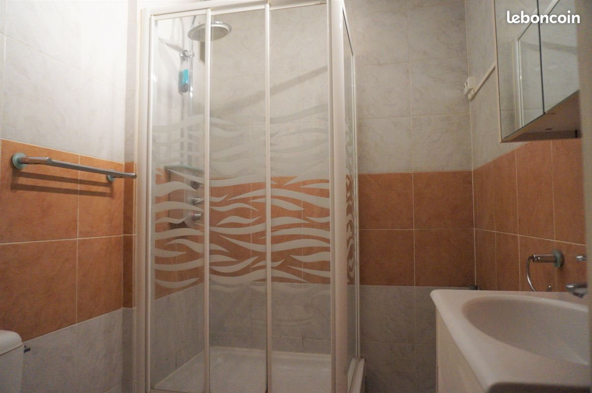 Appartement à louer, 26m², Gaillard