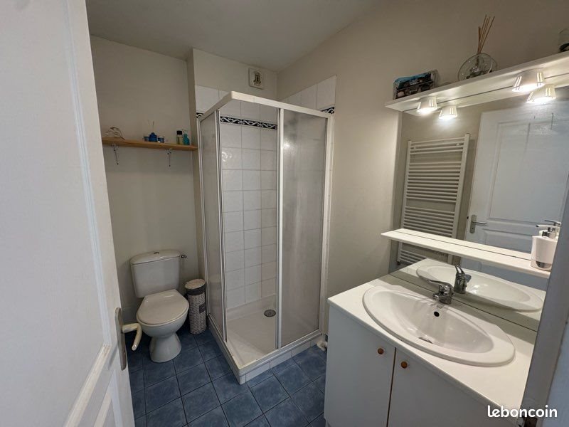 Appartement à louer, 36m², Saint-Martin-en-Haut