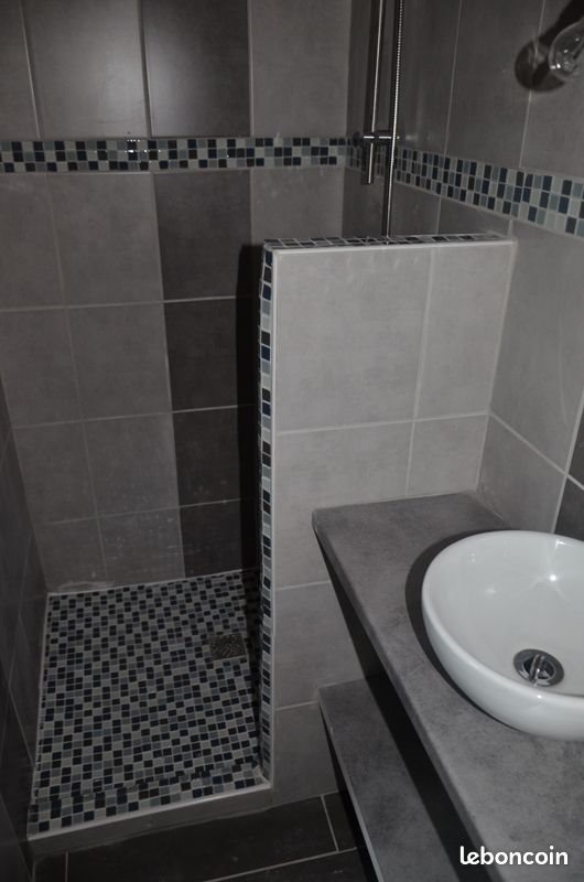 Appartement à louer, 38m², Saint-Etienne