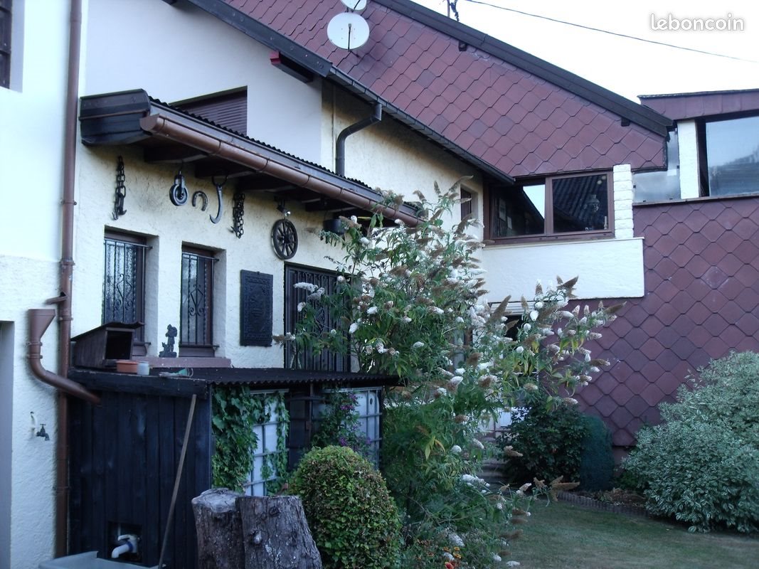 Maison à vendre, 360m², Wangenbourg-Engenthal