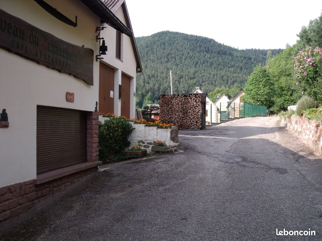 Maison à vendre, 360m², Wangenbourg-Engenthal