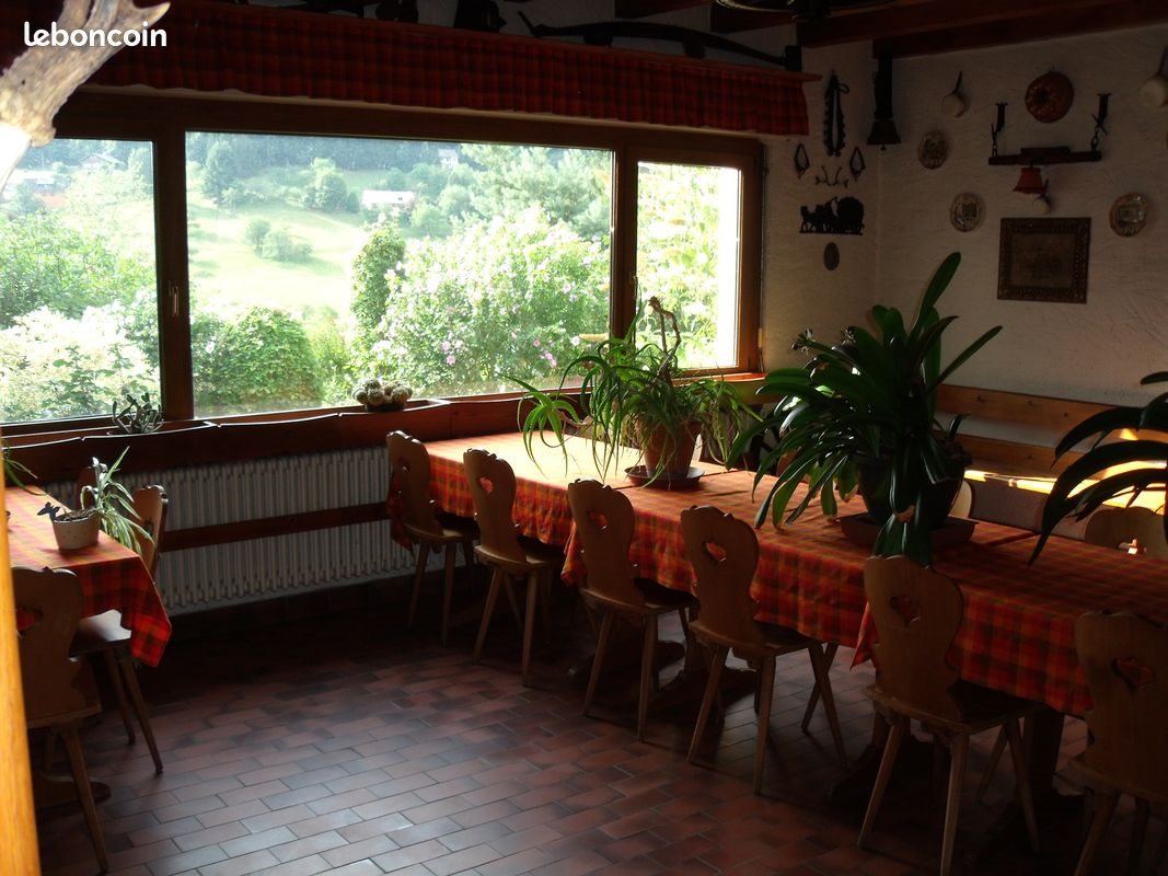 Maison à vendre, 360m², Wangenbourg-Engenthal