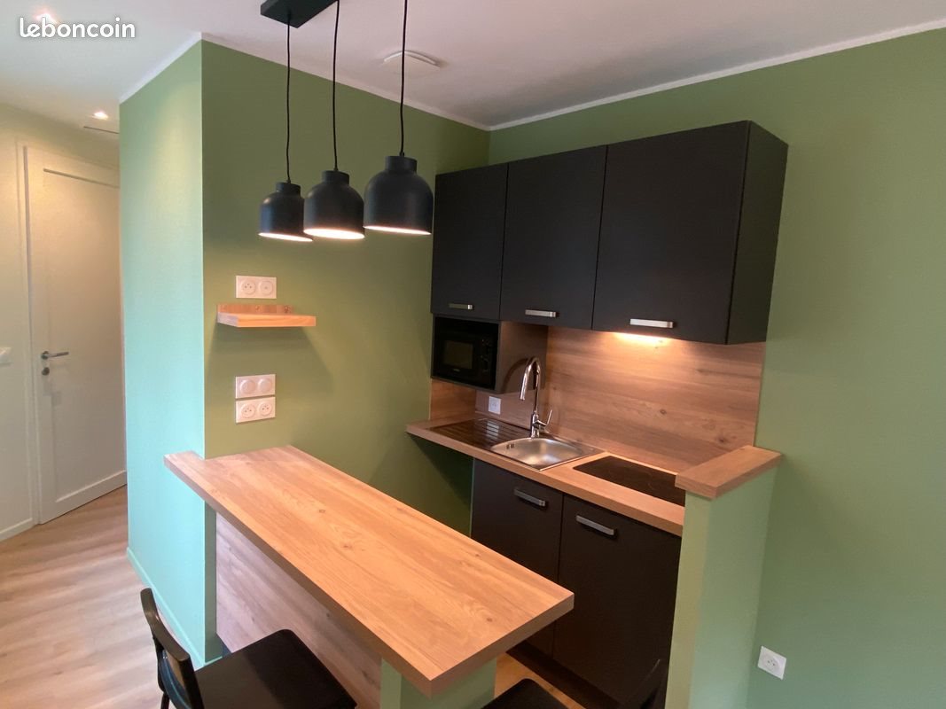 Appartement à louer, 17m², Lille