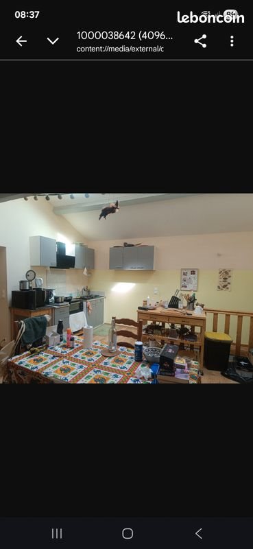 Appartement à louer, 64m², Cahors