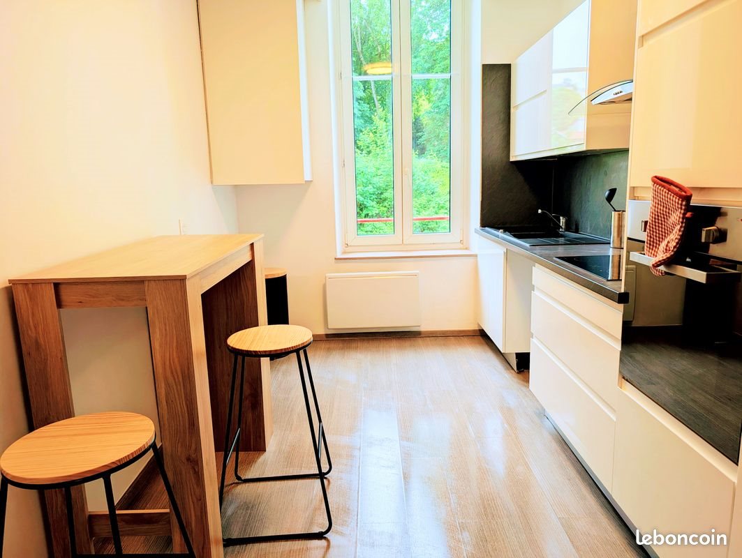 Appartement à louer, 44m², Nancy