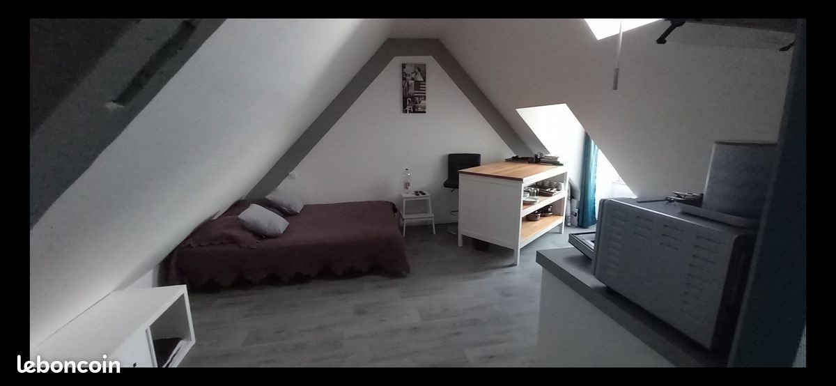 Appartement à louer, 15m², Roanne