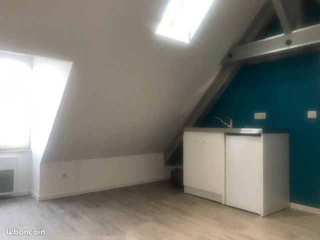 Appartement à louer, 15m², Roanne