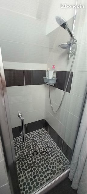 Appartement à louer, 15m², Roanne