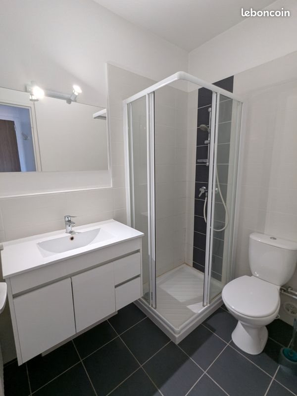 Appartement à louer, 25m², Roanne