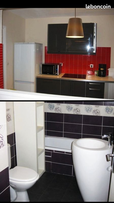 Appartement à louer, 49m², Villeurbanne